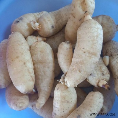 天麻空气能烘干机 天麻空气能热泵烘干机 药材烘干机 天麻烘干机低价直销