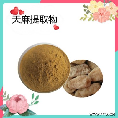 天麻提取物   速溶  可定制   斯诺特生物