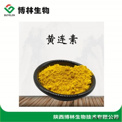 黄连提取物 黄连素98原料粉  黄连纯粉