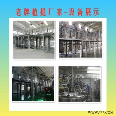 黄芩提取物 黄芩苷 黄芩浓缩粉 老牌厂家 批发包邮