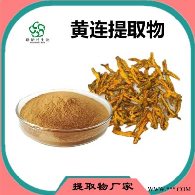 斯诺特 黄连粉 黄连喷雾干燥粉 厂家发货