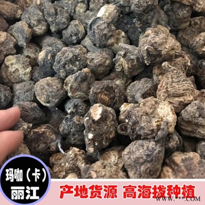 鑫燎三农 丽江玛卡果 玛卡行情