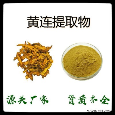 黄连提取物 99%黄连浸膏 浓缩粉 厂家发货 原料包邮