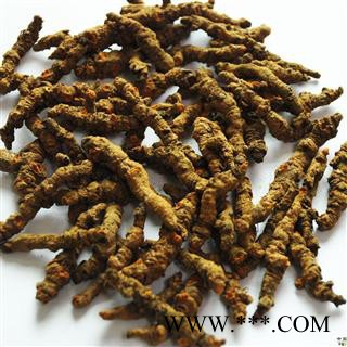 供应地宝中药材一级、二级、三级安徽黄连黄连厂家黄连供应商