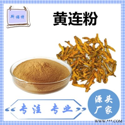 斯诺特 黄连粉 黄连速溶粉 厂家供应 包邮