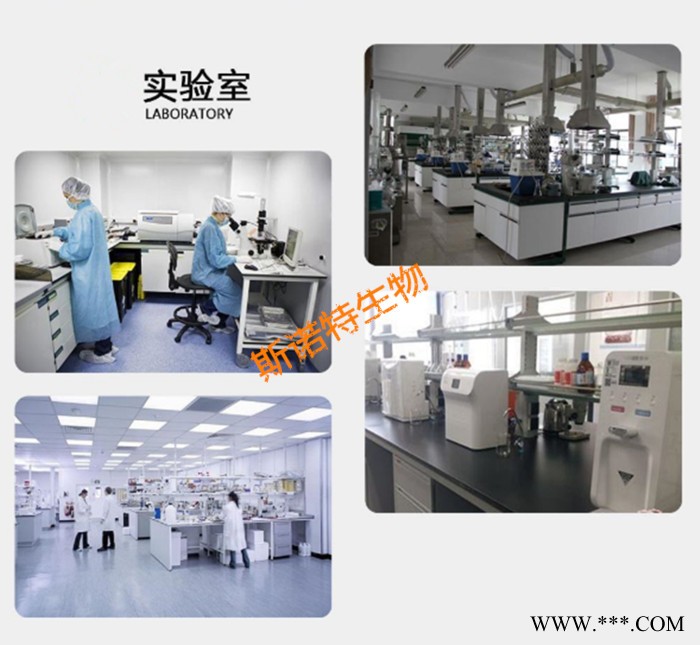 平贝母提取物  浸膏  水溶性平贝母粉  斯诺特生物