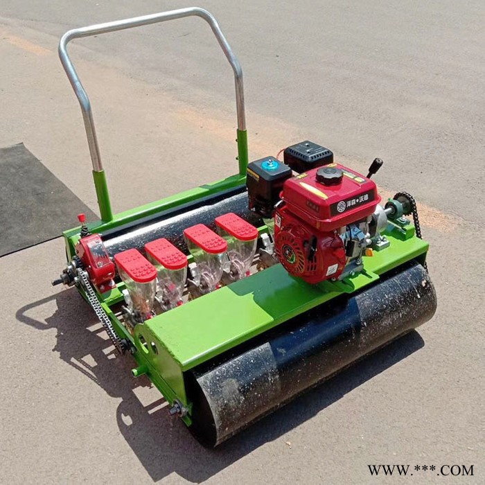 丹参白芷单粒点播机  恒泰汽油谷物蔬菜精播机 10行紫苜蓿点播机价格