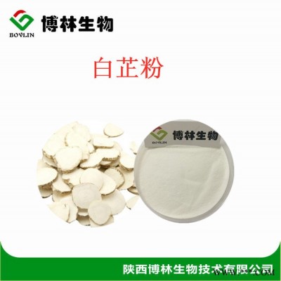 白芷粉 脱水蔬菜烘干粉 现货白芷超细熟粉 白芷脱水烘干研磨熟粉 白芷纯粉