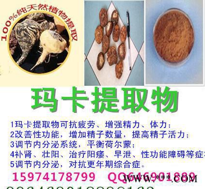 玛卡提取物 玛咖的功效 MACA 玛卡提取物 玛咖的功效 MACA