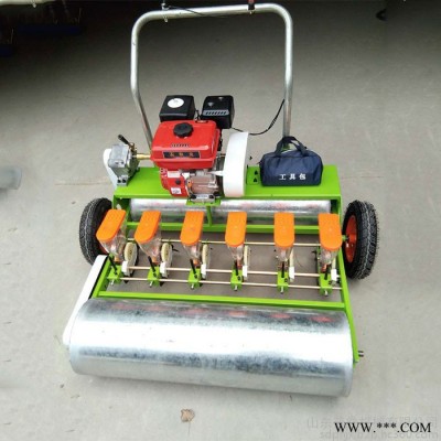 多功能1-10行汽油蔬菜精播机 普航人力手推韭菜点播机白芷药材播种机