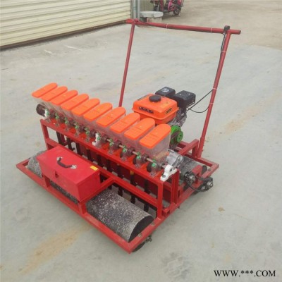 白芷药材播种机价格 人力胡萝卜播种机 油菜精播机厂家