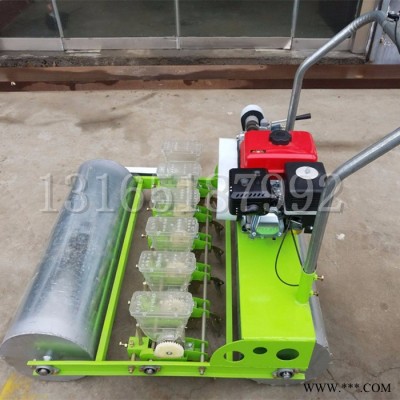 板蓝根播种机 元胡精播机 西宁 黄芪药苗种植机富兴批发