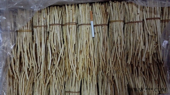 中草药类  供应内蒙带皮沙参  植物原药材