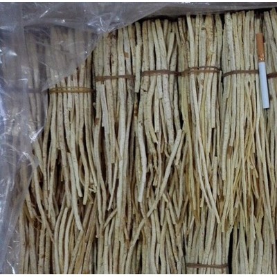 中草药类  供应内蒙带皮沙参  植物原药材