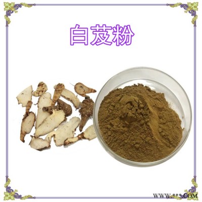 斯诺特生物 山药破壁粉，全水溶，山药精细粉末