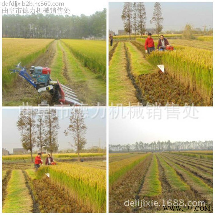 手推汽油割晒机 多功能耐用小麦水稻收割机 桔梗柴胡中药材割晒机 手推汽油割晒机 多功能耐用小麦水稻收割机 桔梗柴胡中药材割晒机