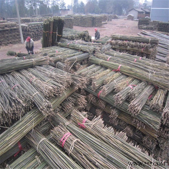 批发山药架竿 2米5和3米山药架材