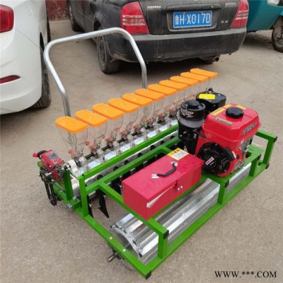 广盛 -361   汽油6行藜麦精播机 手推苜蓿柴胡播种机 拖拉机黄芪播种机