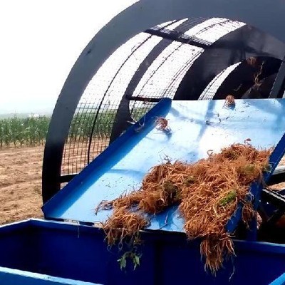 直销新型洋姜收获机 太子参收获机 大型收获机械  药材收获机