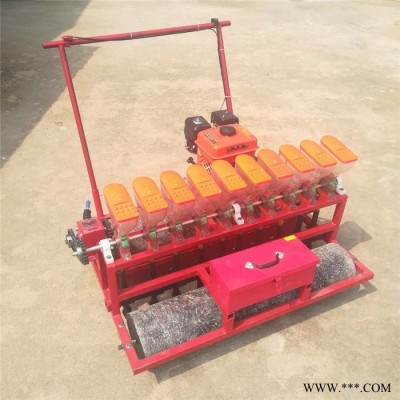 **汽油机手推式8行精播机 汽油电动柴胡种子精播机富兴 免间苗省人力蔬菜精播机