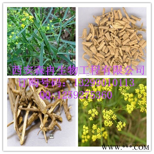 森冉现货柴胡提取物  **植物提取 森冉现货柴胡提取物  **植物提取