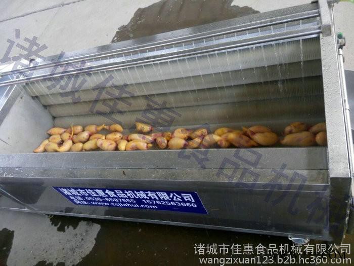 白芍 白芷根茎类专用清洗去皮机