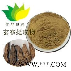 玄参提取物
