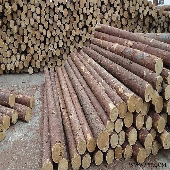 泰安 济南 莱芜 菏泽菜架竹 山药架 豆角架 黄瓜架 小山竹