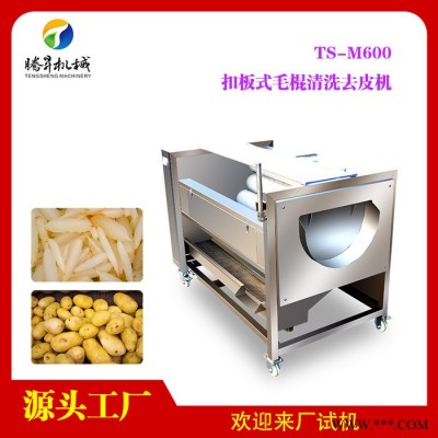 腾昇TS-M600中型果蔬清洗机 专业洗马蹄机 洗萝卜机 洗山药机 新款不锈钢