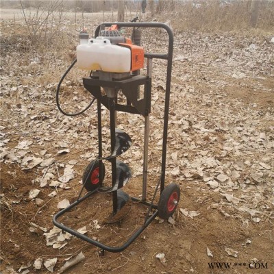 佳硕麻山药切片机 水萝卜切菜机 卷心菜切丝设备