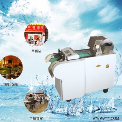 柠檬山楂切片机  黄瓜切丝机型号 山药切片机富兴