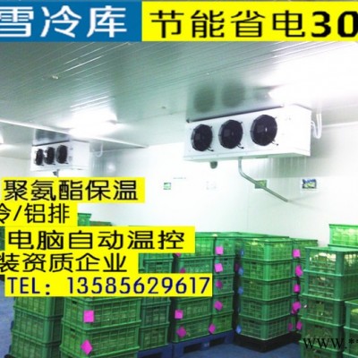 南宁市大型冷库 果蔬保鲜冷库 玉米 山药 红薯 土豆 香菇