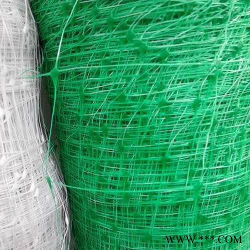 铭湾 植物攀藤网 爬藤网 白山药网 种植网 植物爬藤网 可定