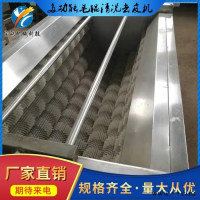 山药毛辊清洗机 红薯清洗去皮机 毛刷连续式去皮机 魔芋 莲藕清洗去皮设备厂家宇联机械科技YLKJ-MG-800
