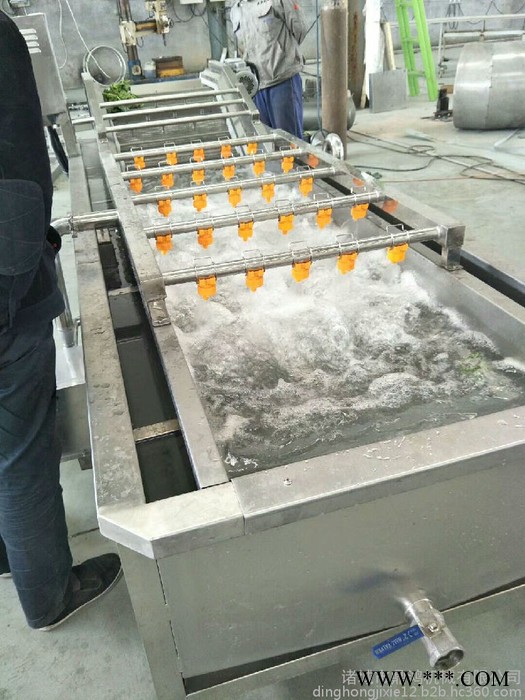 鼎鸿QX-3000型西红柿清洗机 番茄清洗流水线 海棠果清洗机 山药豆清洗机 中药材清洗流水线 循环用水清洗机