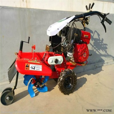 多功能柴油旋耕机图片 手扶种植黄姜开沟起垄机 山药开沟机厂家