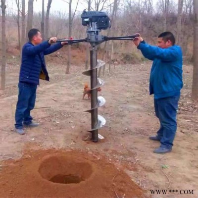 德鑫植树造林挖树机电线杆大棚埋桩立柱打桩机 山药种植打孔钻眼