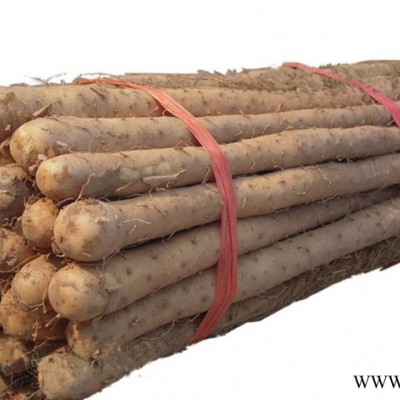 供应梦之园铁棍山药-绿色食品