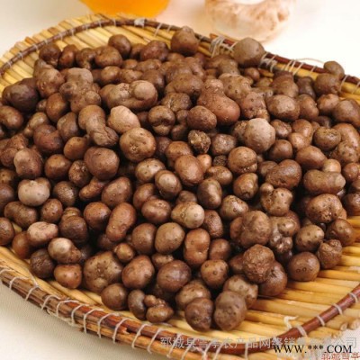 铁棍山药豆郓城双井农家自产新鲜山药豆500g传统营养滋补品买