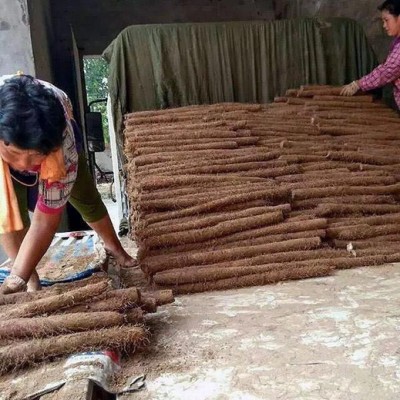 山东山药之乡｜莘县白玉山药｜2015年山东山药种植基地白玉山药大量供应