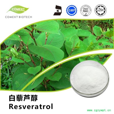 厂家直供虎杖提取物白藜芦醇98%粉末