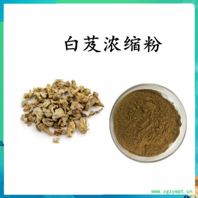 扶风斯诺特  木香破壁粉 木香粉  水溶 可定制