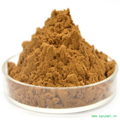 甘肃斯诺特 川牛膝提取物  量大从优 川牛膝粉 食品原料