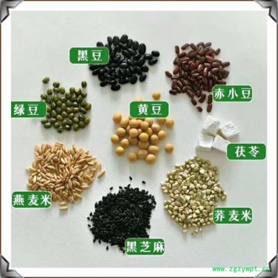 斯诺特 川芎提取物 10：:1 水溶性好  厂家供应  浓缩粉 浸膏粉