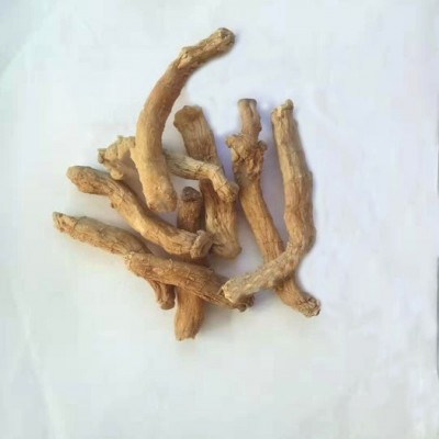 供应厂家供应  **玉竹选个 基地**玉竹选个