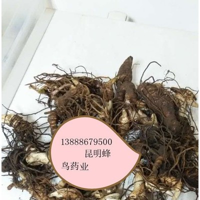 供应滇重楼滇丰1重楼