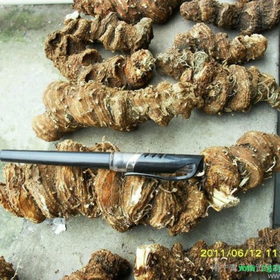 供应青天集03供应重楼