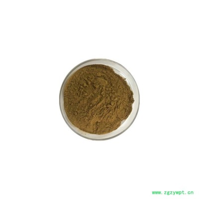 西洋参提取物 西洋参浓缩粉  可定制 水溶 99%