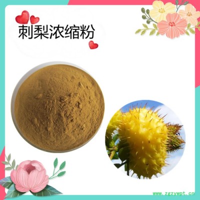 西洋参粉   水溶   可定制   斯诺特生物