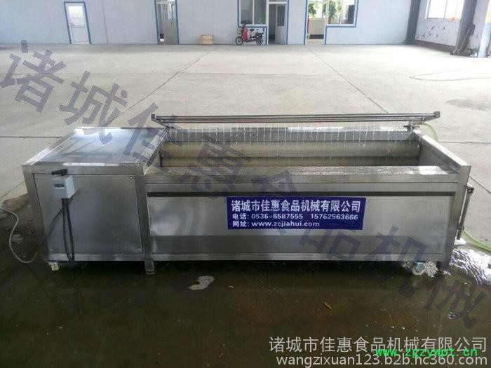 玉竹 锁阳清洗机 毛辊清洗设备报价